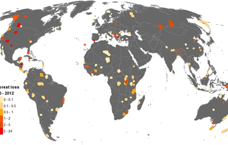 Forest Loss in World Heritage Sites (1)